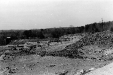 A black and white photograph of the ruins of an old mine, with a forest and power lines in the background