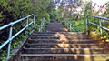 Three of the 13 flights of the Howe Street Stairs.