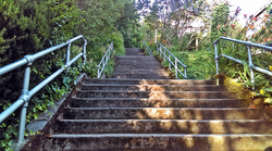 Three flights of the Howe Street Stairs pictured in June 2016