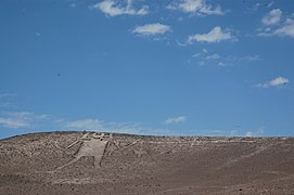 The Atacama Giant