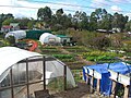 Green house and vegetable patches at CERES