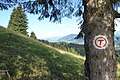 Balisage du sentier de la randonnée de longue distance Via Transilvanica.