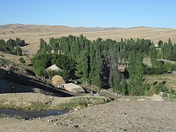 Aktas village