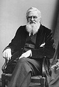 Alfred Russel Wallace