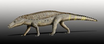 Armadillosuchus