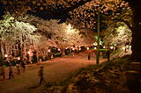 烏帽子山公園（山形県南陽市）