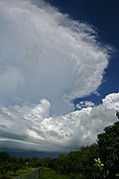 かなとこ雲の手前に生じた低いアーチ雲