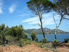 L'Estérel et la baie d'Agay vus du Dramont