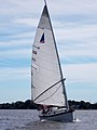 Nonsuch 26