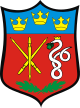 Dłutów – Stemma