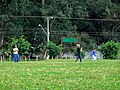 Crianças empinando pipas