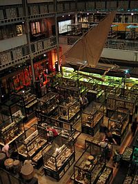 Pitt Rivers Museum, Oxford