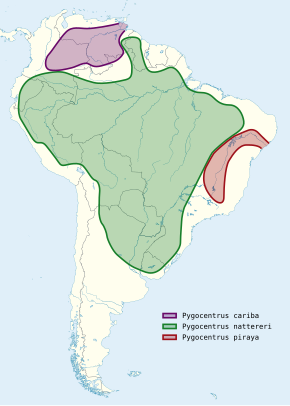 Description de l'image Pygocentrus distribution map.svg.