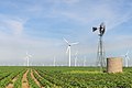 Image 42Roscoe Wind Farm: an onshore wind farm in West Texas near Roscoe (from Wind power)