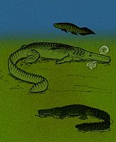 Stomatosuchus inermis