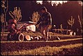 Image 29An organic farmer, California, 1972 (from History of agriculture)