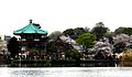 Temple benten-dō du parc Ueno.