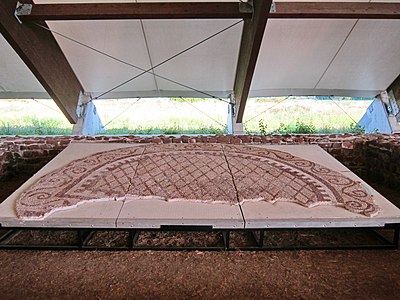 Mosaïque dans la villa avec des conques.