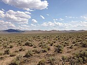 Sagebrush steppe in northeastern Nevada (U.S. Route 93)