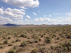 A large stretch of mostly desolate land