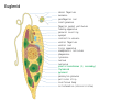 Thumbnail for version as of 22:37, 26 November 2023