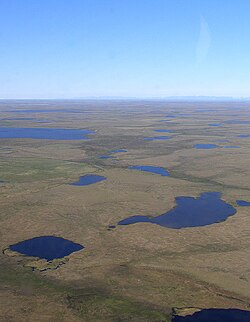 View of the Anadyr Lowlands from the air.