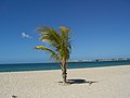 Playa El Castillo