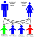 Tay-Sachs disease