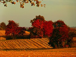 Countryside near Kieselbronn