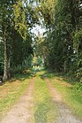 A path at Bjerre Beach near Gørlev