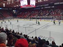 The ice at Broome County Veterans Memorial Arena during a Binghamton Black Bears hockey game in 2021.