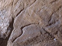 Relais rupestre que représente une tête de cheval, Grotte du Maure (Tarifa, actuelle province de Cadix).