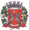 Coat of arms of Estrela do Norte