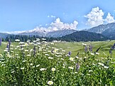 Gulmarg Wildlife Sanctuary