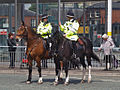 Policiers de la GMP à cheval à Bury.