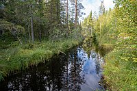 Svartsjöbäcken där den rinner genom Granlidens naturreservat.