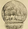 Drawing of Kinston Swamp by a member of the 45th Regiment Massachusetts Volunteer Infantry