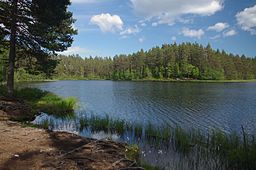 Kroksjön sommaren 2013.