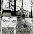 Sign photographed in 1952, indicating Lady Wonder's ability to read minds.