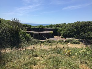 Lentney Battery Plymouth 10