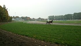 Driver à l'entraînement avec un trotteur sur l'hippodrome Jydsk Væddeløbsbane d'Aarhus.