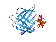 2hmb: THREE-DIMENSIONAL STRUCTURE OF RECOMBINANT HUMAN MUSCLE FATTY ACID-BINDING PROTEIN