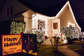 Lights on Peacock Lane