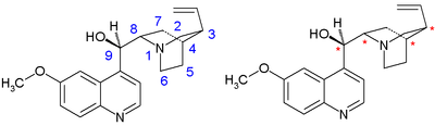 quinine carbon atom numbering scheme left and asymmetric centers right