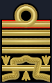 Ammiraglio di squadra con incarichi speciali (Italian Navy)[3]
