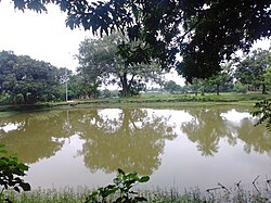 Pond in Shoshankandi