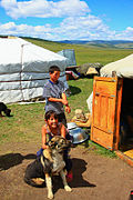 肯特省的蒙古包(2009年)