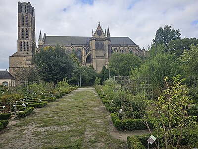 South side of the cathedral seen from the botanical garden