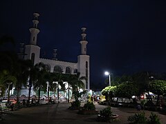 Tulay Central Mosque night view