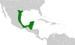 Distribución geográfica del tirano silbador.